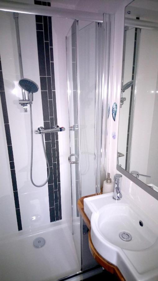 Private Self Catering Studio Newquay New Quay Екстериор снимка